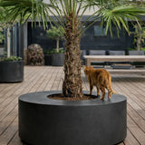 Seating Circle Schwarz Finestgreen 