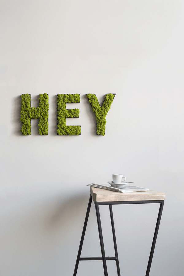 Islandmoos Piktogramm Buchstabe