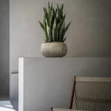 Pflanzschale Aya Beige aus Zement & Bambus Pflanzkorb mit künstlicher sansevieria bogenhanf modernes Wohnzimmer