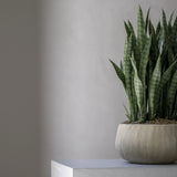 Pflanzschale Aya Beige aus Zement & Bambus Pflanzkorb mit künstlicher sansevieria bogenhanf nahaufnahme