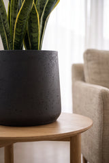 Übertopf Patt Black Washed Pflanzkübel Schwarz aus Ton in Beton-Optik || Robustes Material aus glasfaserverstärktem Ton