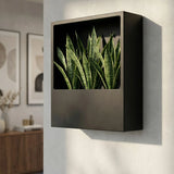 Hanging Wally Jack Schwarz Finestgreen 