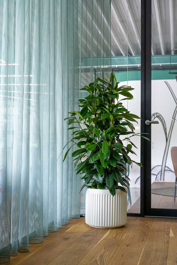 Blumentopf Turris Low Seidenweiß aus Fiberglas