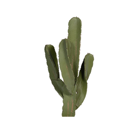 Kaktus Cereus Künstlich H: 72cm