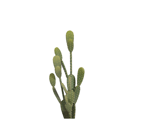 Kaktus Opuntia Künstlich H: 41cm