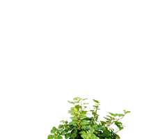 Konfigurator