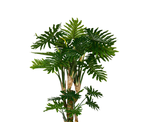 Philodendron Künstlich H: 160cm