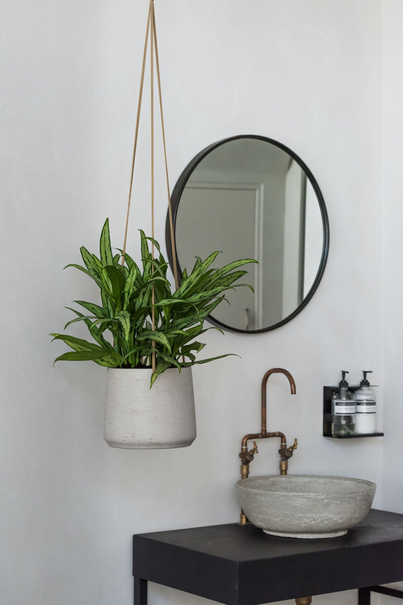 Blumenampel Hanging Patt Grau aus glasfaserverstärktem Ton mit Grünpflanze im Bad neben rundem Spiegel und Steinwaschbecken || Abgebildete Größe: L
