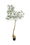 Queensland bottle Baum Kunstpflanze L 200cm