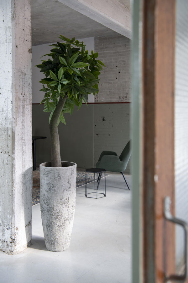 Pflanzkübel Dax Oyster Weiß, Bodenvase in Austernschalen-Optik