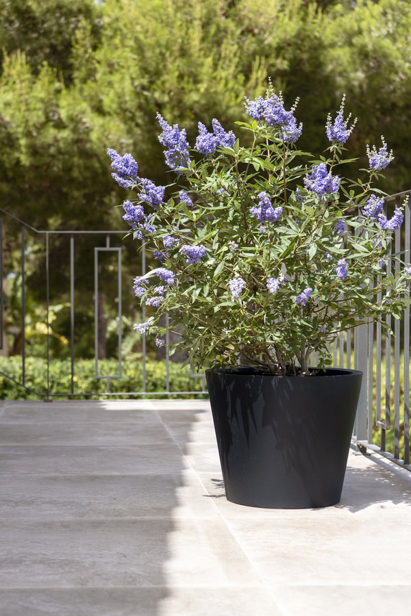 Bucket Fiberstone Schwarz
