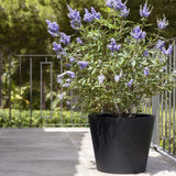 Bucket Fiberstone Schwarz