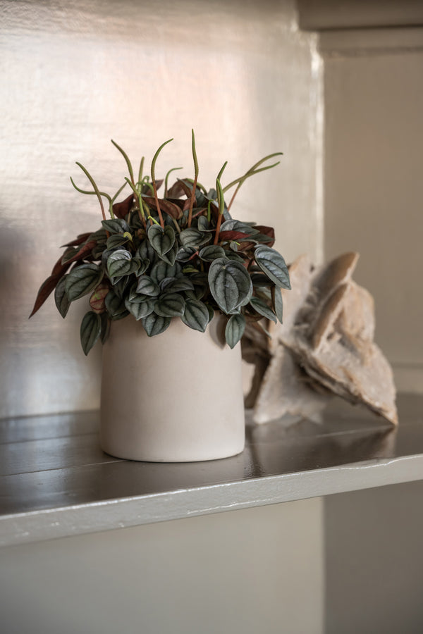 Blumentopf Sofia Beige aus glasierter Keramik