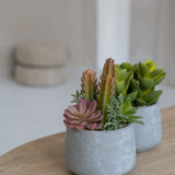 Pflanzenmix künstlich im Zementtopf (Pflanze inkl. Topf)