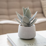 Echeveria künstlich im Zementtopf (Pflanze inkl. Topf)