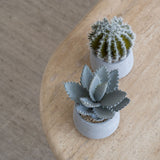 Cactus künstlich im Zementtopf (Pflanze inkl. Topf)
