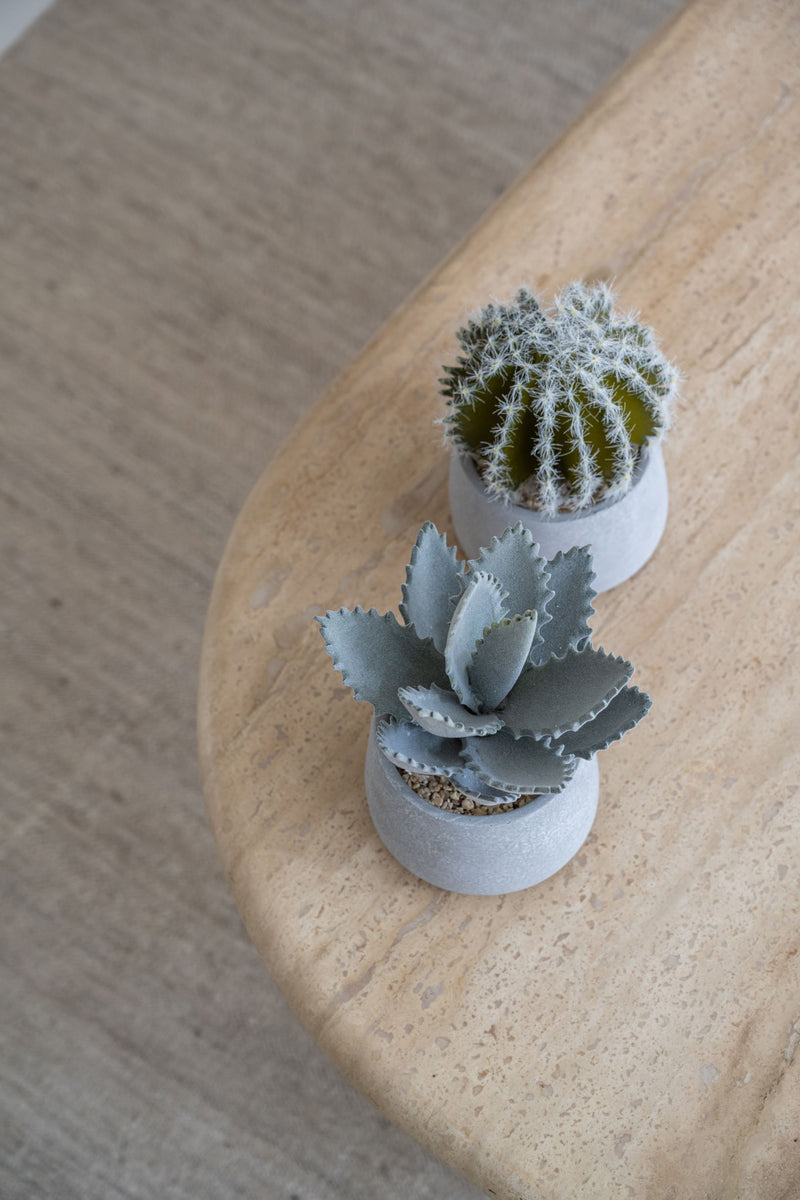 Cactus künstlich im Zementtopf (Pflanze inkl. Topf)