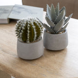 Cactus künstlich im Zementtopf (Pflanze inkl. Topf)