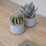 Echeveria künstlich im Zementtopf (Pflanze inkl. Topf)
