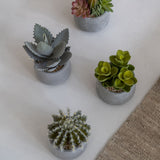 Cactus künstlich im Zementtopf (Pflanze inkl. Topf)