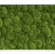100x60 cm