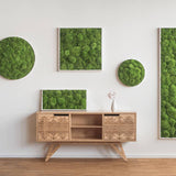 Moosbild Ballenmoos 55x55 cm