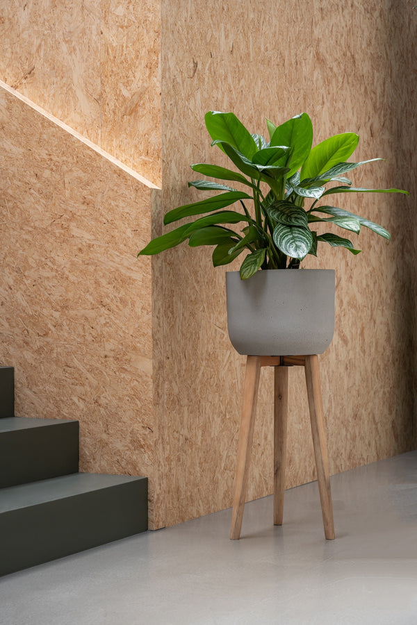 Blumentopf Landon Hell Grau mit Holzfüßen