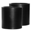 2x Mini Max L