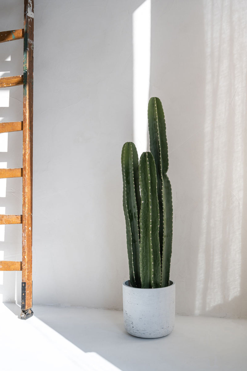 Kaktus Saguaro Künstlich - Künstliche Pflanzen