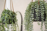 Hanging Patt Schwarz