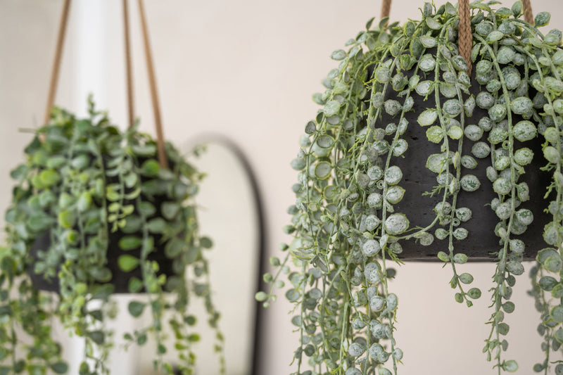 Hanging Patt Schwarz