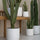 Kaktus Cereus Künstlich H: 55cm