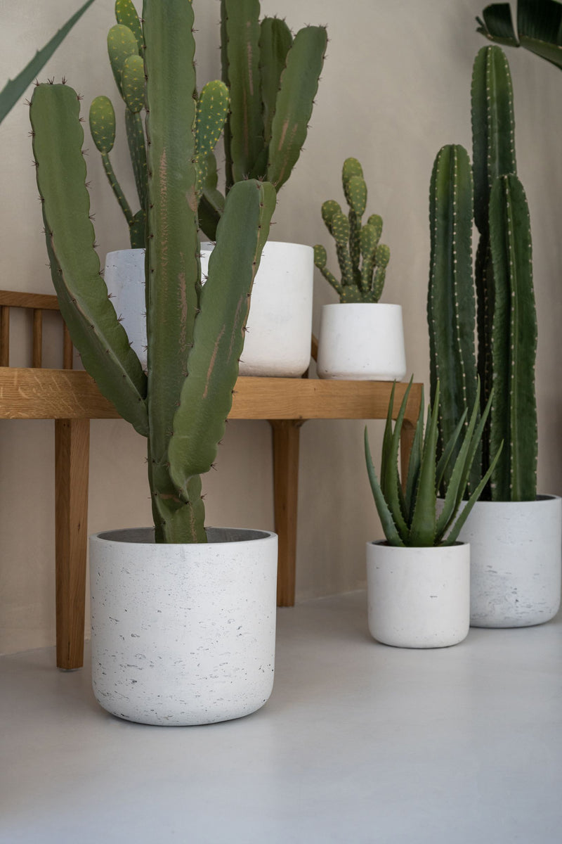 Kaktus Cereus Künstlich H: 55cm