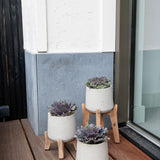 Patt Grey Washed Feet High
