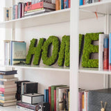 Islandmoos Piktogramm Buchstabe