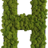 Islandmoos Piktogramm Buchstabe