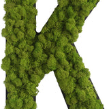 Islandmoos Piktogramm Buchstabe