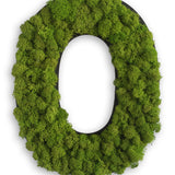 Islandmoos Piktogramm Buchstabe