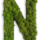 Islandmoos Piktogramm Buchstabe