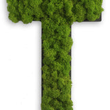 Islandmoos Piktogramm Buchstabe