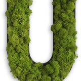 Islandmoos Piktogramm Buchstabe