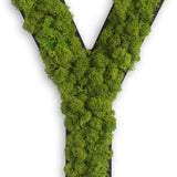 Islandmoos Piktogramm Buchstabe