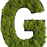 Islandmoos Piktogramm Buchstabe