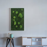 Moosbild Wald- und Ballenmoos 100x60 cm