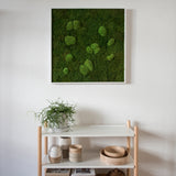 Moosbild Wald- und Ballenmoos 80x80 cm