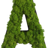 Islandmoos Piktogramm Buchstabe
