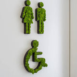 Islandmoos Piktogramm Toilettenrollstuhl