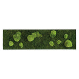 Moosbild Wald- und Ballenmoos 140x40 cm