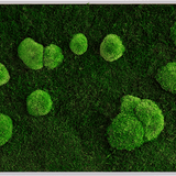Moosbild Wald- und Ballenmoos 100x60 cm