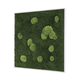 Moosbild Wald- und Ballenmoos 80x80 cm
